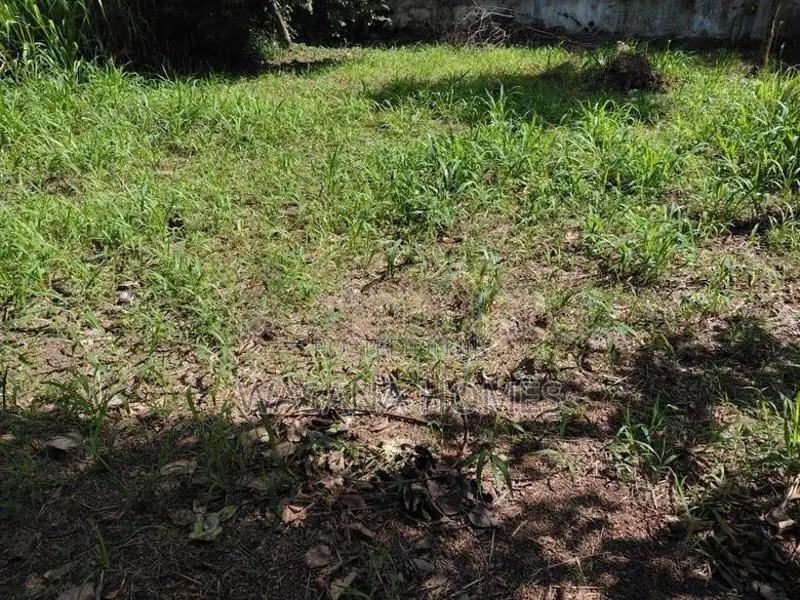 Prime Land for Sale Borelesgamuwa