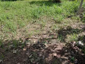 Prime Land for Sale Borelesgamuwa