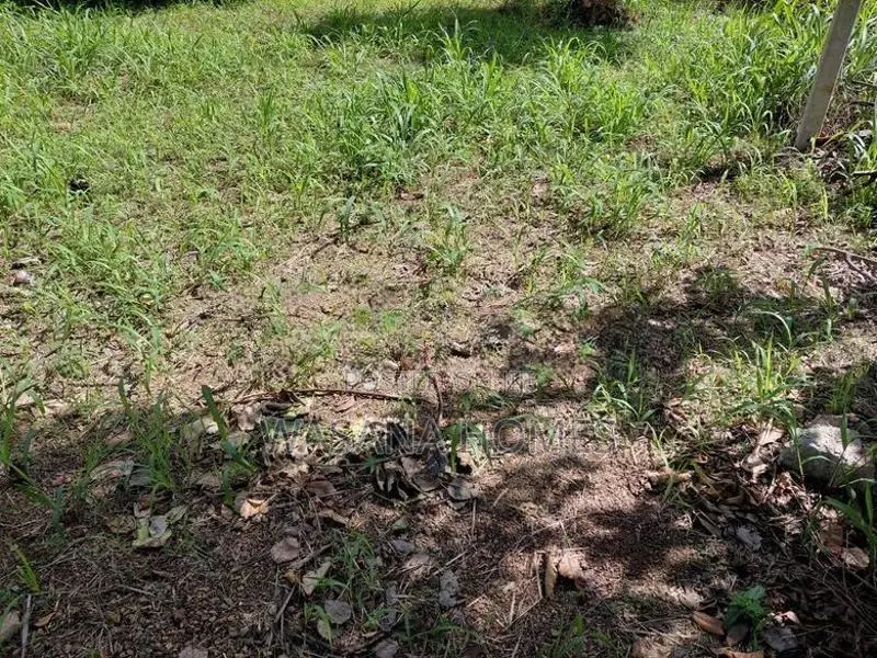 Prime Land for Sale Borelesgamuwa