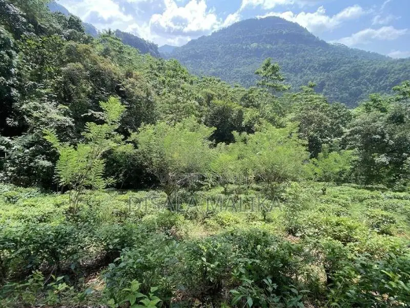10 Acres Land for Sale Yatiyantota Polpitiya