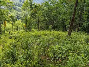 10 Acres Land for Sale Yatiyantota Polpitiya