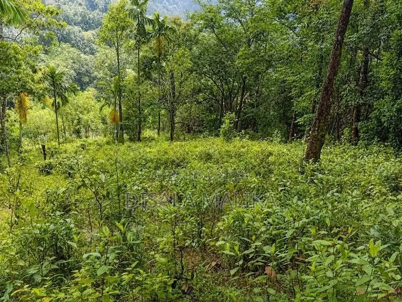 10 Acres Land for Sale Yatiyantota Polpitiya