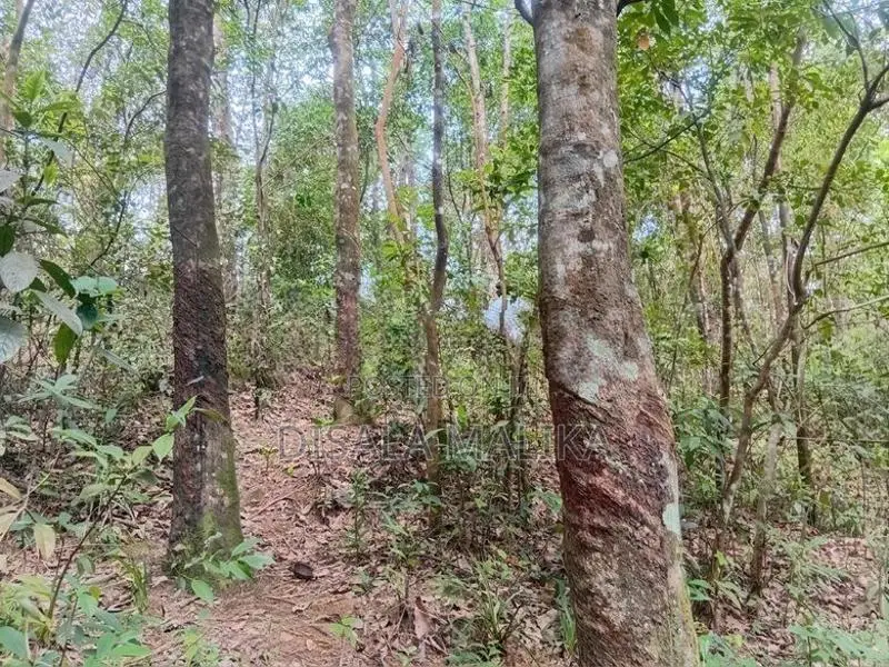 10 Acres Land for Sale Yatiyantota Polpitiya