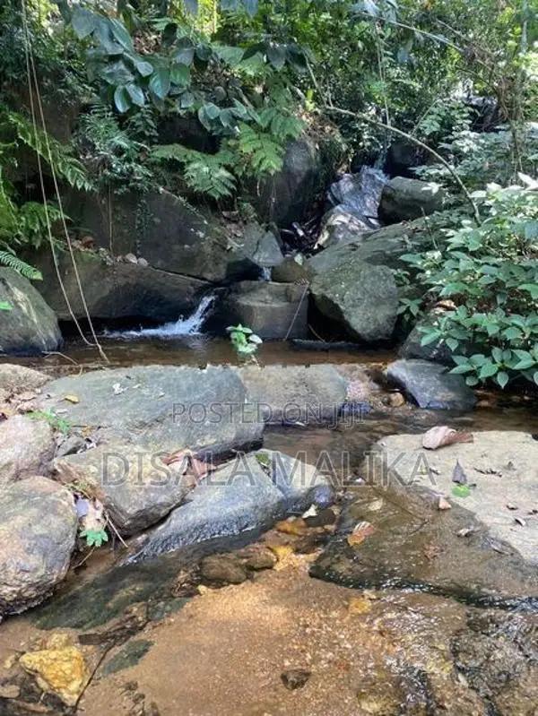 10 Acres Land for Sale Yatiyantota Polpitiya