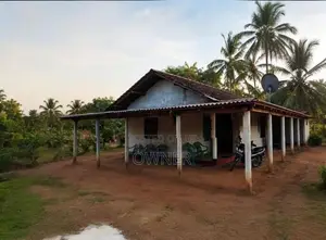 අනුරාධපුර, පදවිය ප්‍රදේශයේ අක්කර 1.5 ක ඉඩමක් විකිණීමට ඇත නිවසක් සහිත