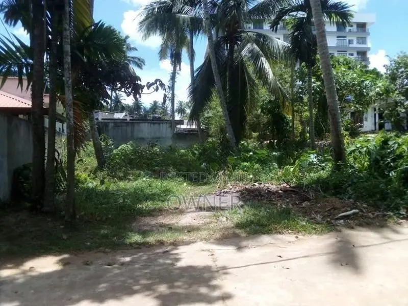 Land for Sale in Homagama