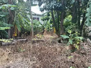 Premium Land for Sale Boralasgamuwa