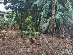 Premium Land for Sale Boralasgamuwa