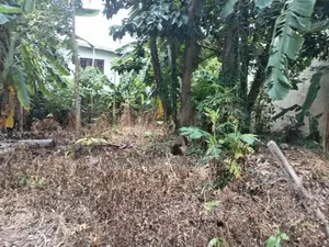 Premium Land for Sale Boralasgamuwa