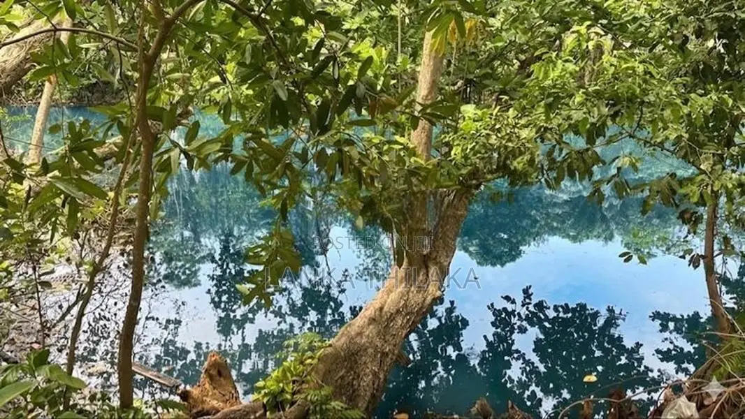 River Side Land for Sale Wadduwa