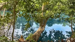 River Side Land for Sale Wadduwa