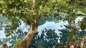 River Side Land for Sale Wadduwa