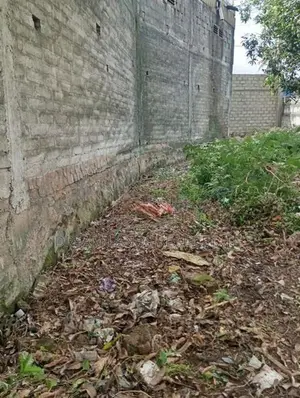 Commercial Land for Rent in Wattala (sp1316)