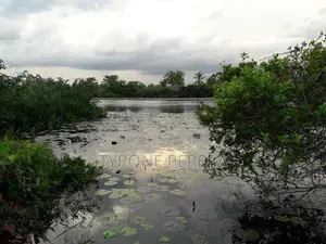 Water Front Land, Facing Bolgoda Lake at Bandaragama