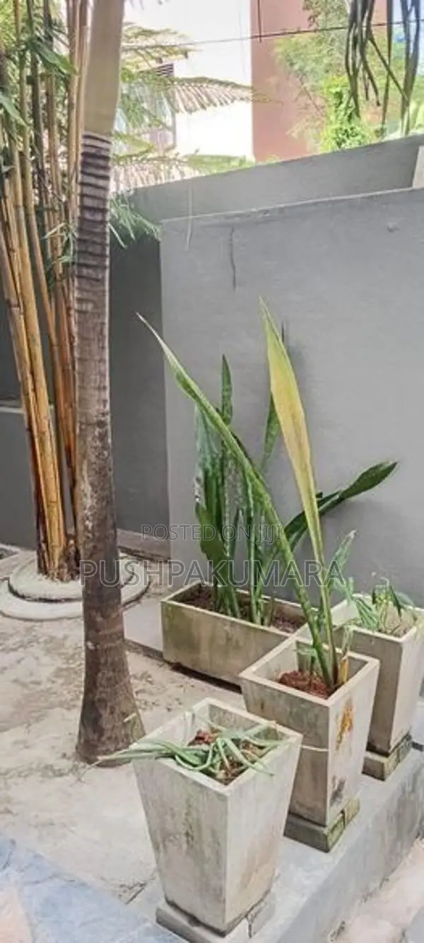 House for Rent in Mulleriyawa( File No 2900 A)