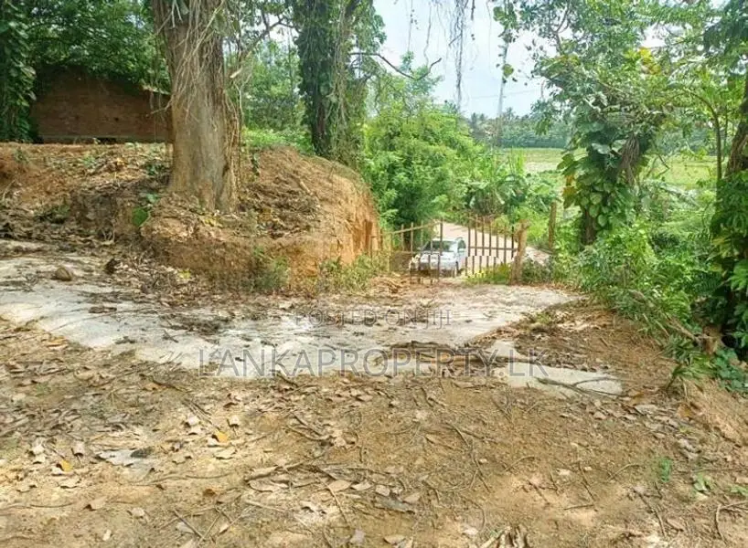 Valuable Residential Land for Sale in Mirissa