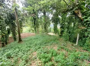 Valuable Residential Land for Sale in Mirissa