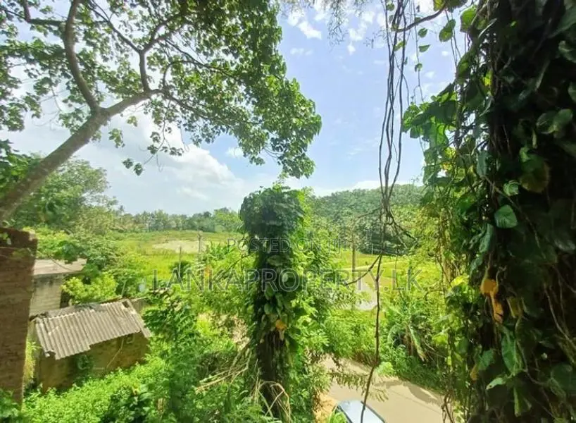 Valuable Residential Land for Sale in Mirissa