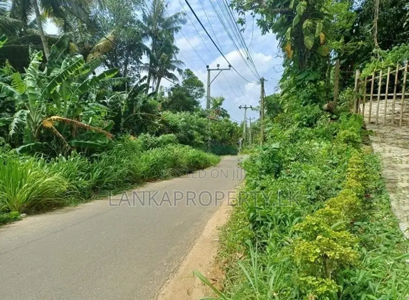 Valuable Residential Land for Sale in Mirissa