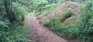 Land with House for Sale Avissawella