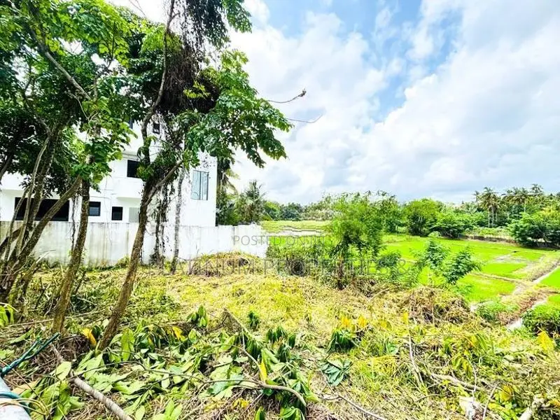 Facing A Scenic Paddy Field 10 Perch Land For Sale In Piliyandala