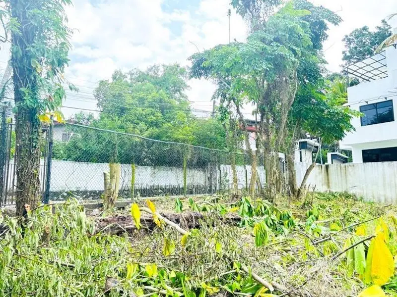 Facing A Scenic Paddy Field 10 Perch Land For Sale In Piliyandala
