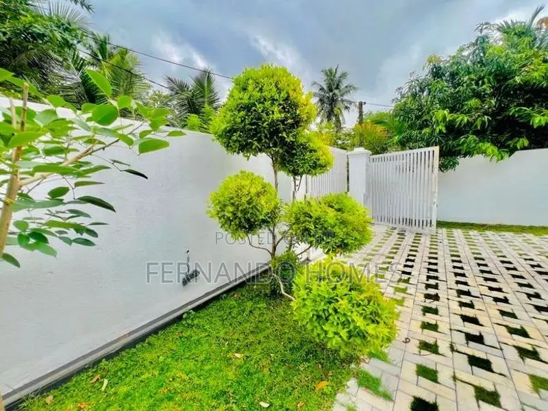 Amazing for Sale in Kandawala