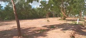 Valuable Land in Rekawa