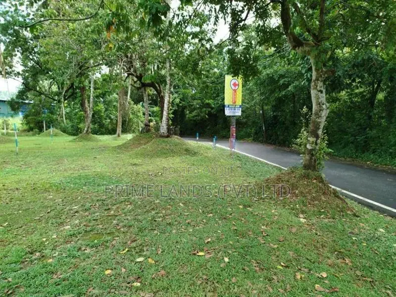 අතුරුගිරිය බොරලුගොඩ පාරෙන් බිම් කොටසක් විකිණීමට ..