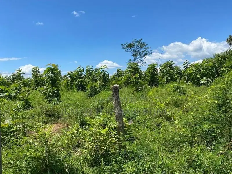 4 Acre Cultivated Land for Sale in Hiripitiya, Kurunegala