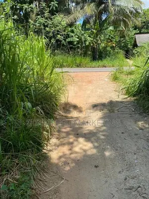 4 Acre Cultivated Land for Sale in Hiripitiya, Kurunegala