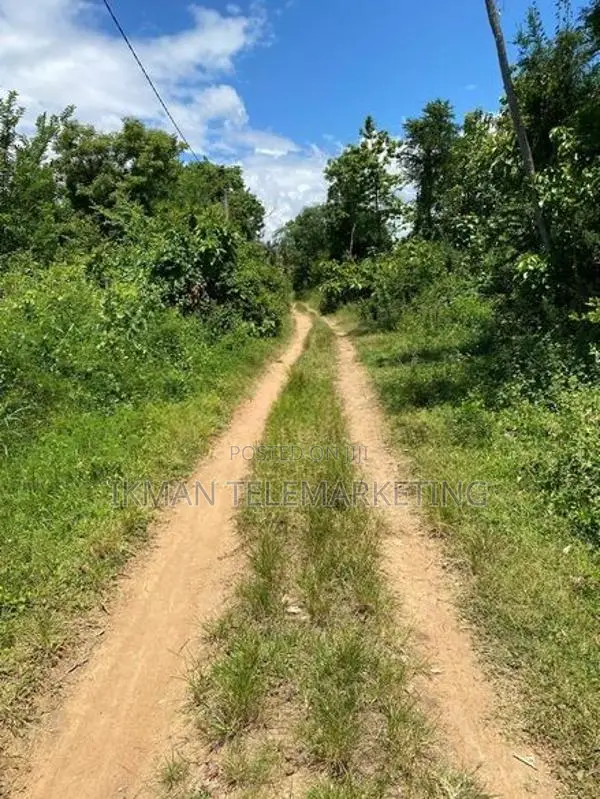 4 Acre Cultivated Land for Sale in Hiripitiya, Kurunegala