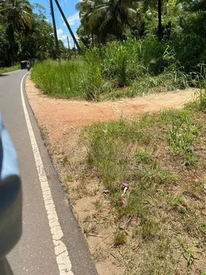 4 Acre Cultivated Land for Sale in Hiripitiya, Kurunegala