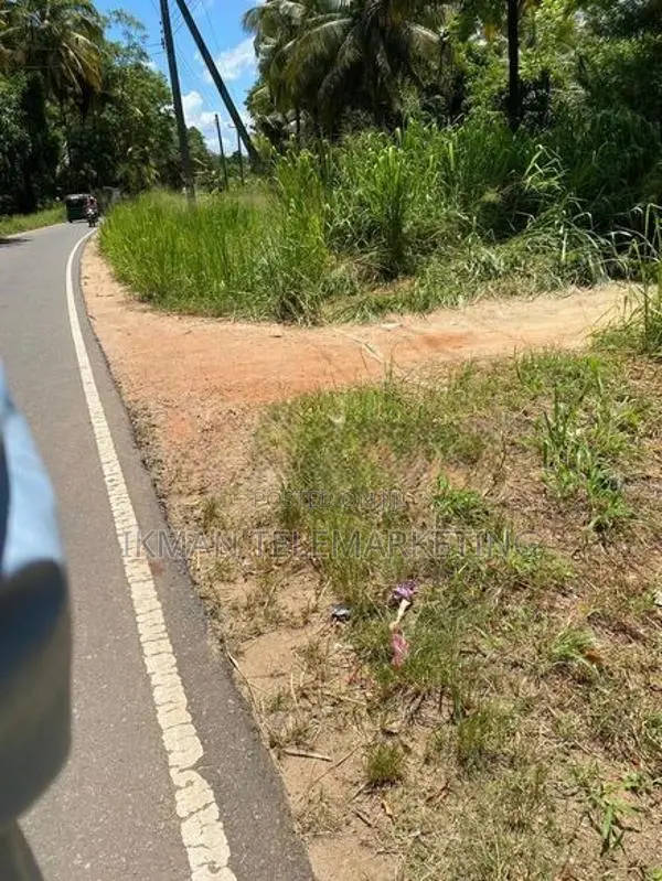 4 Acre Cultivated Land for Sale in Hiripitiya, Kurunegala