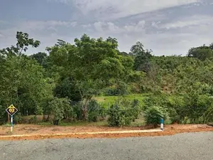 අම්බලන්ගොඩ නගර සභා සීමාවෙන්