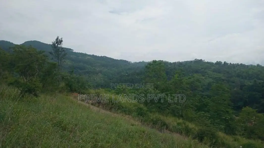 LAND FOR SALE GALAHA