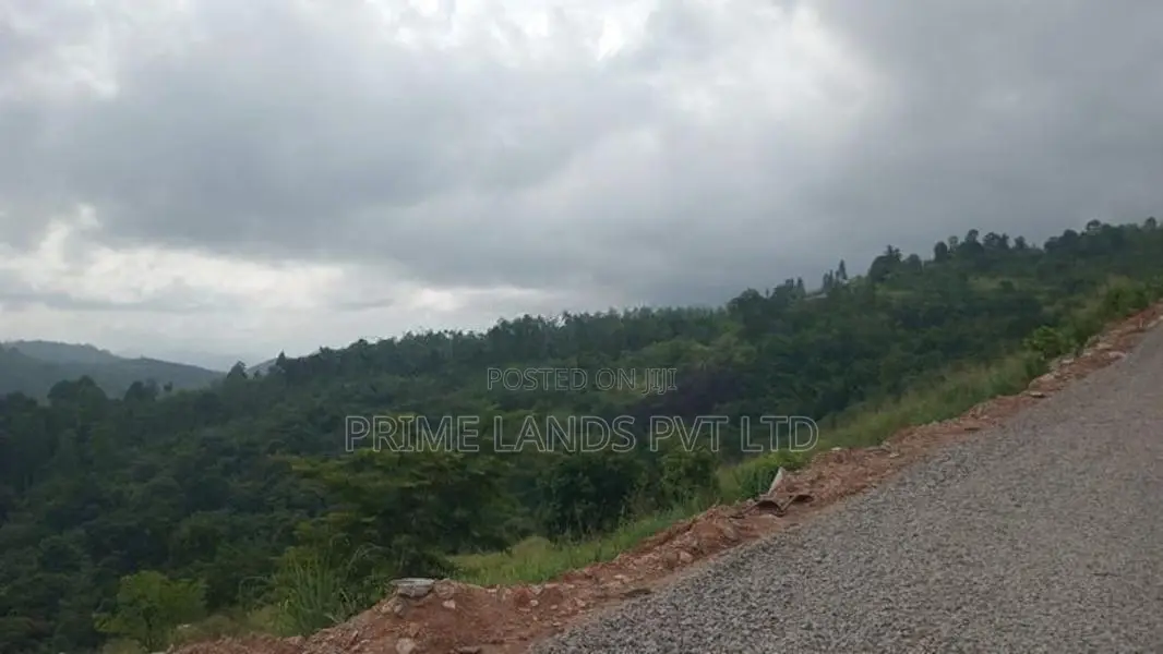 LAND FOR SALE GALAHA