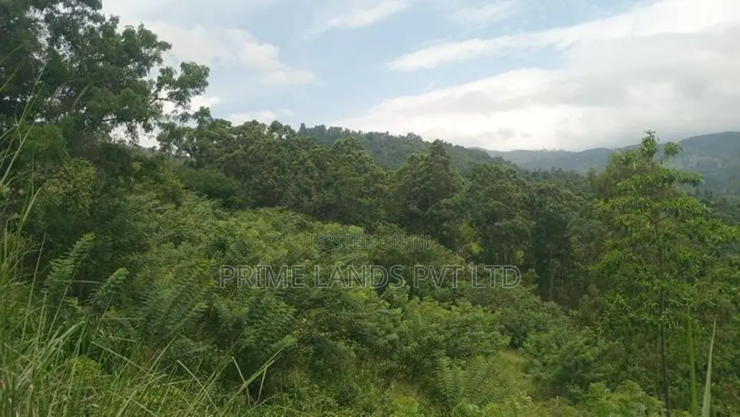 LAND FOR SALE GALAHA