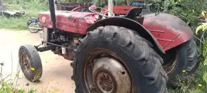 Massey-Ferguson 135 DL 1990 Tractor (Used)