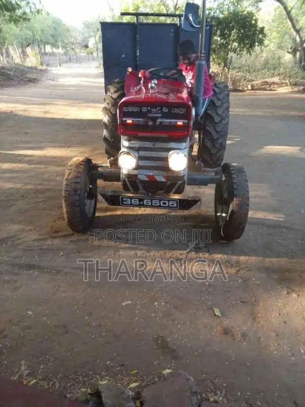 Massey-Ferguson 135 1980 Tractor (Used)