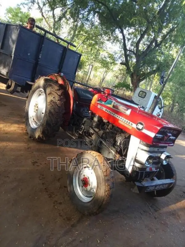 Massey-Ferguson 135 1980 Tractor (Used)
