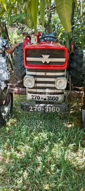 Massey-Ferguson 135 DL 1980 Tractor (Used)