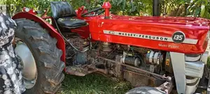 Massey-Ferguson 135 DL 1980 Tractor (Used)