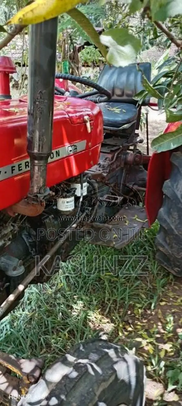 Massey-Ferguson 135 DL 1980 Tractor (Used)