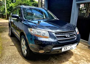 Hyundai Santa Fe 2008 SUV (Used)