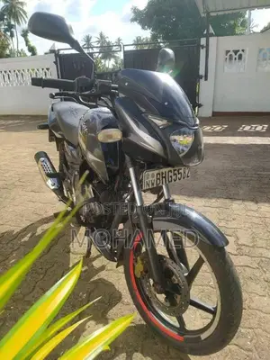 Bajaj Pulsar 2019 Motorbike (Used)