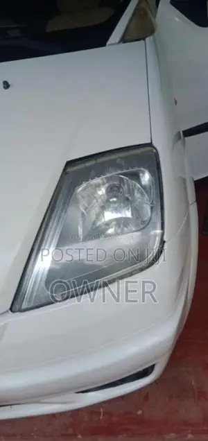 Micro Trend 2009 Car (Used)