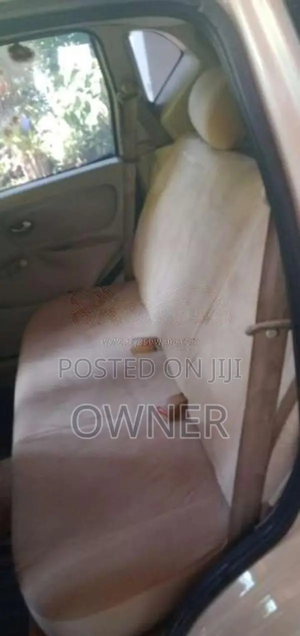 Micro Trend 2009 Car (Used)