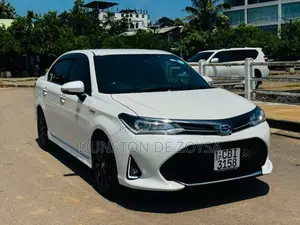 Toyota Axio WXB 2017 Car (Used)