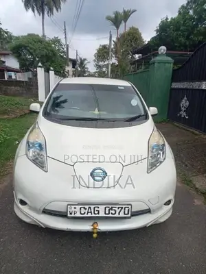 Nissan Leaf 2013 Car (Used)